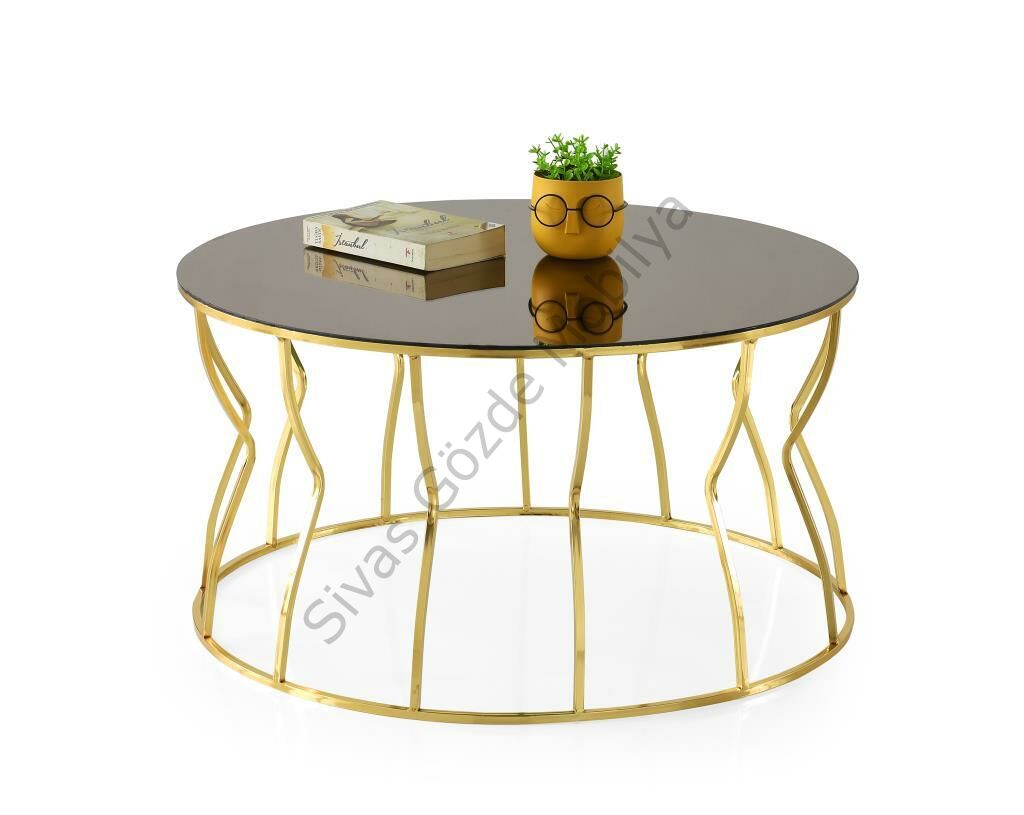 Lale Ayna Camlı Metal Orta Sehpa 80x42cm