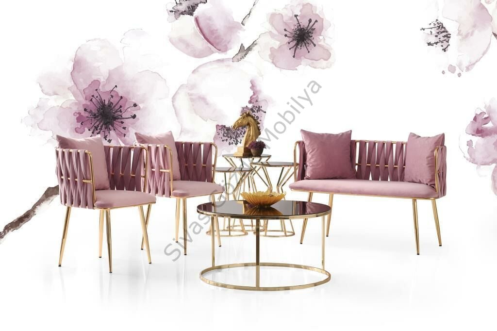 Modern Bekleme Odası Ofis Oturma Grubu Mobilyası (2+1+1) Pembe