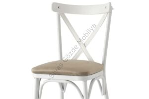 Bahar Mutfak Bahçe Cafe Sandalyesi 2 li Set